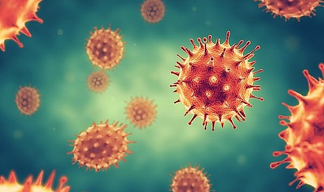 Virus - Symbolbild